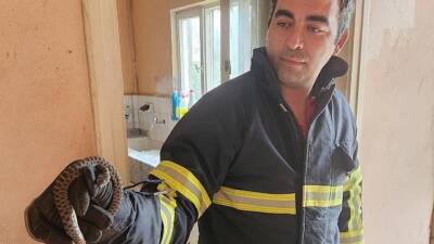 Hatay’ın Antakya, İskenderun ve Dörtyol ilçelerinde sıcak hava nedeniyle yerleşim