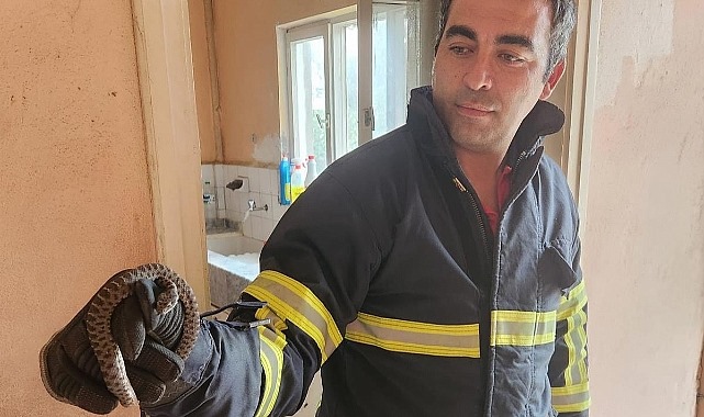 Hatay’ın Antakya, İskenderun ve Dörtyol ilçelerinde sıcak hava nedeniyle yerleşim