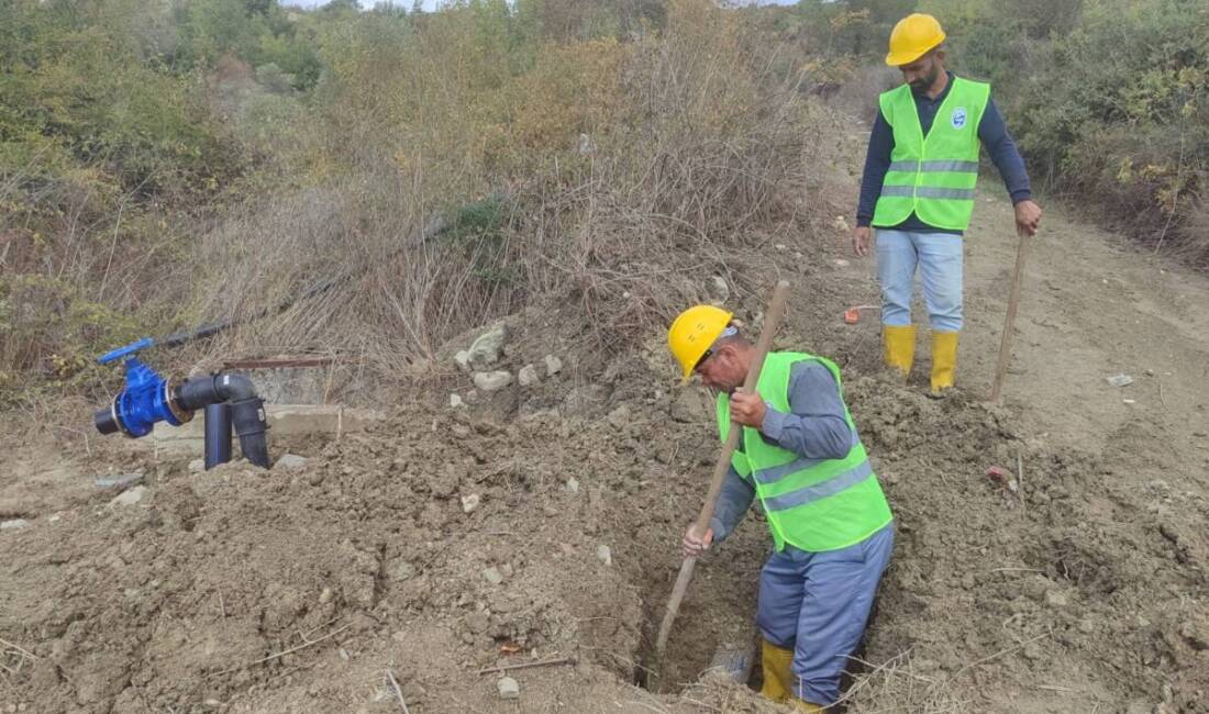 Hatay Büyükşehir Belediyesi (HBB), kent genelinde tarımsal üretimi desteklemek ve