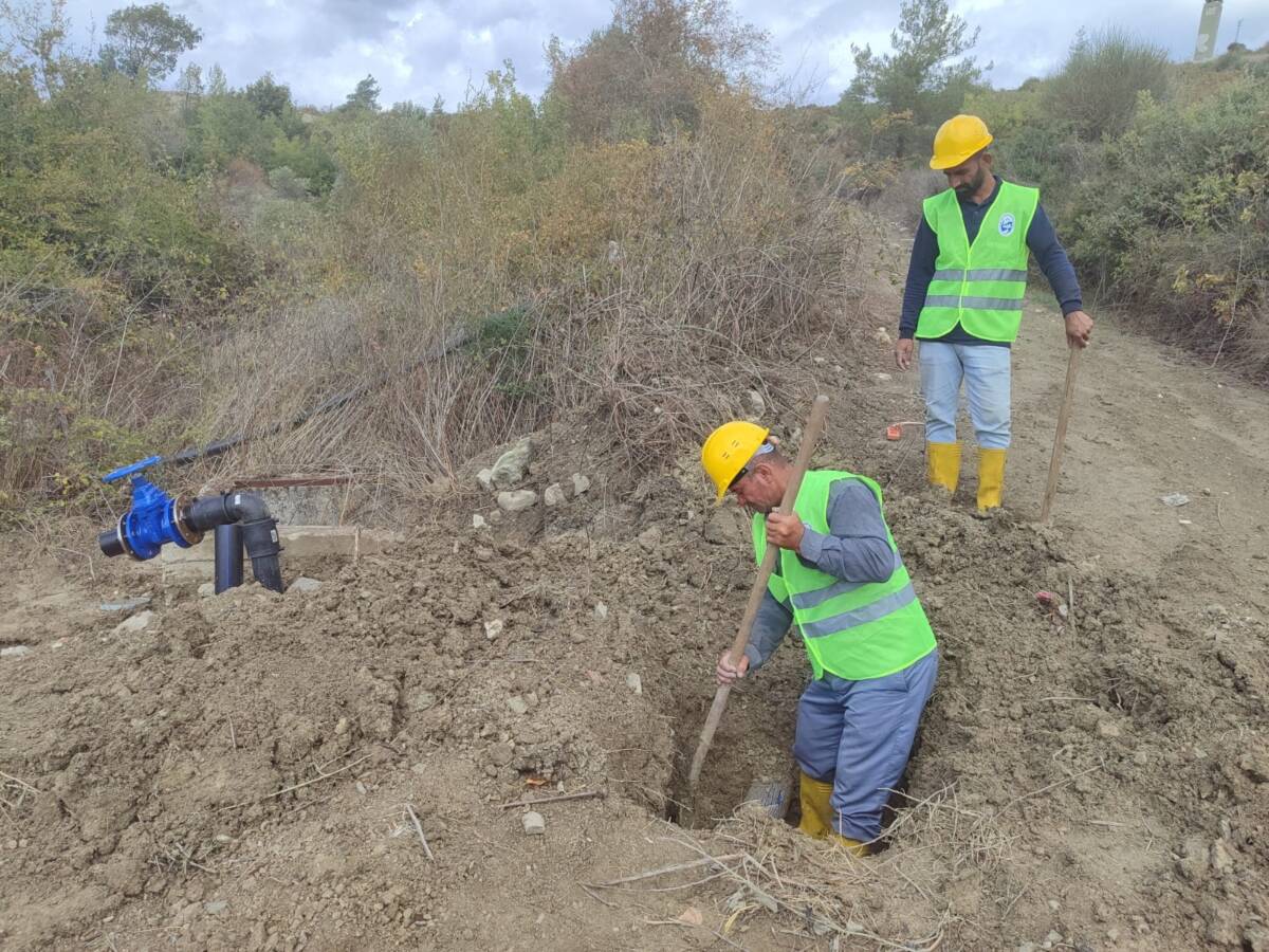 Hatay Büyükşehir Belediyesi (HBB), kent genelinde tarımsal üretimi desteklemek ve