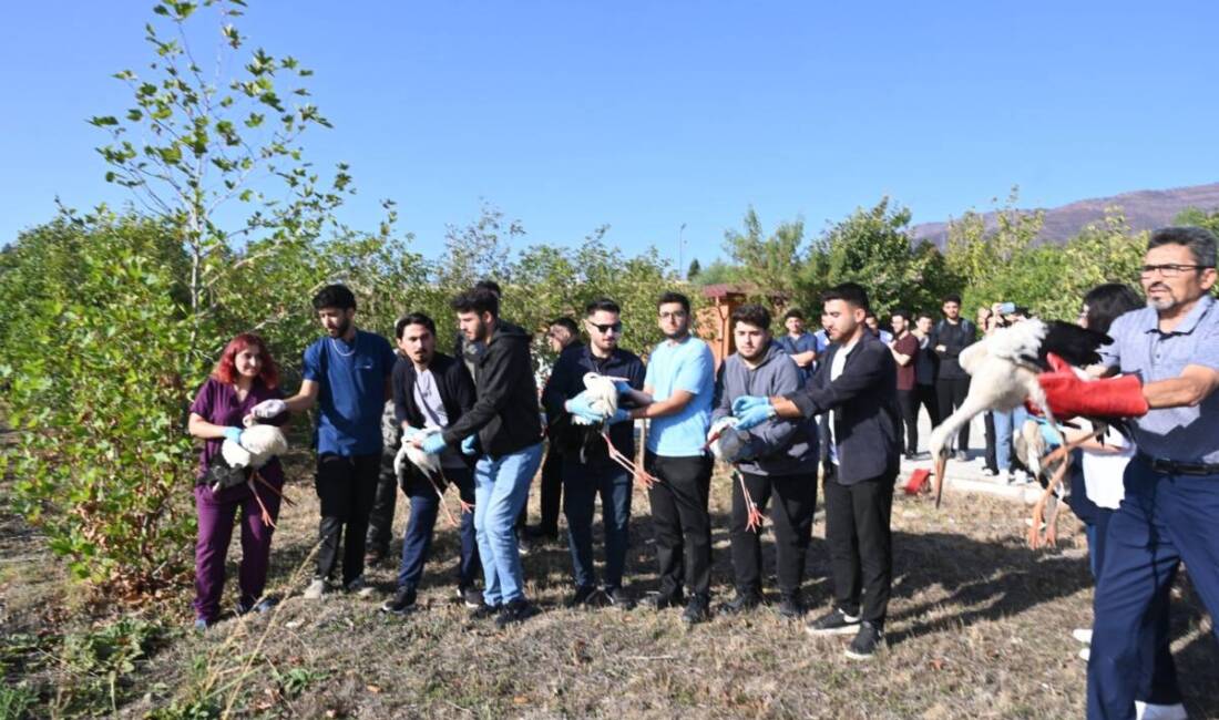 Hatay Mustafa Kemal Üniversitesi (MKÜ) Veteriner Sağlık Uygulama ve Araştırma