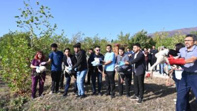 Hatay Mustafa Kemal Üniversitesi (MKÜ) Veteriner Sağlık Uygulama ve Araştırma