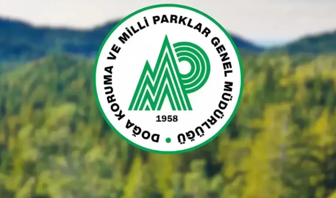 Orman Teşkilatına 240 Personel Alınacak: Başvurular Başladı Tarım ve Orman Bakanlığı, Doğa Koruma ve Milli Parklar Genel