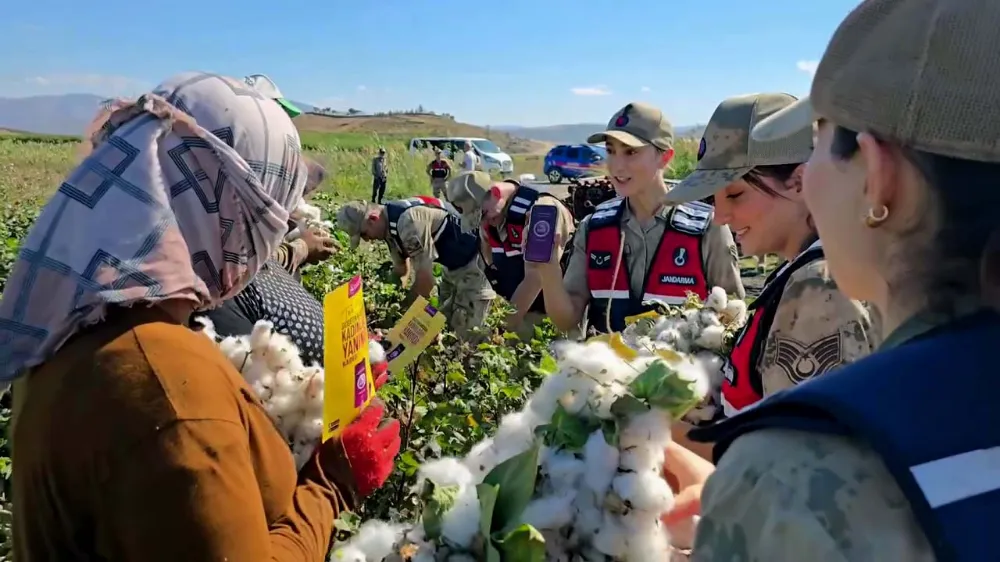 Hatay İl Jandarma Komutanlığı ekipleri, pamuk hasadı yapılan tarlalarda çalışan