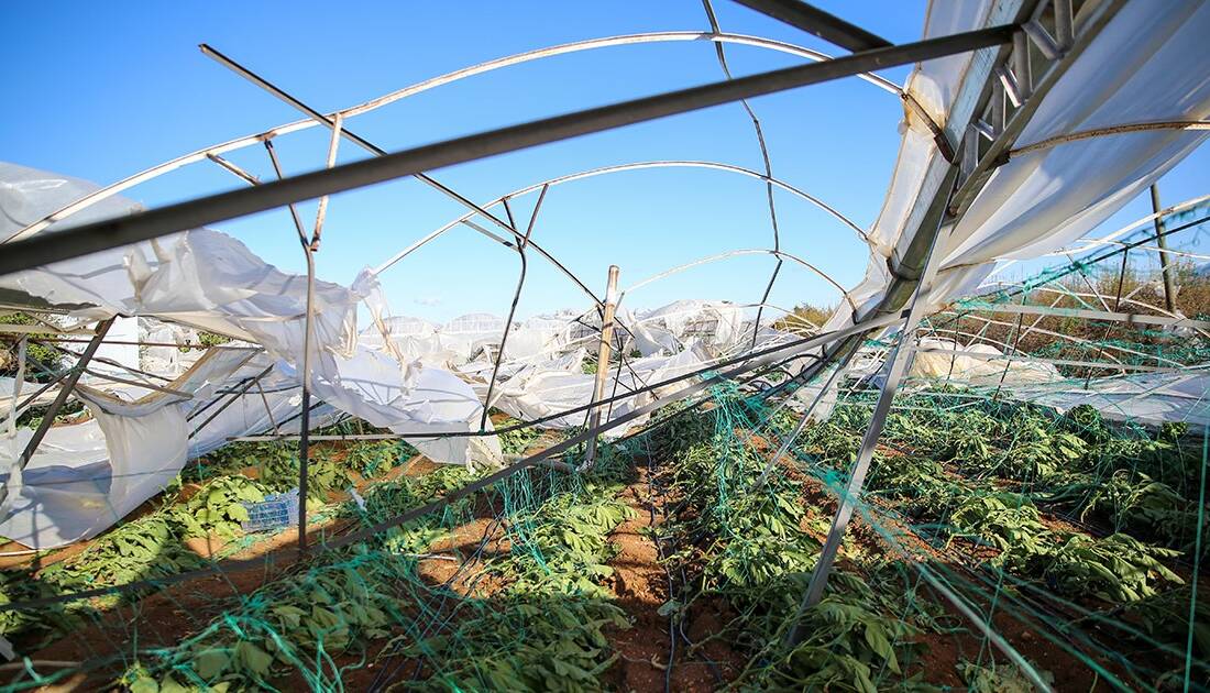 Tarım ve Orman Bakanı İbrahim Yumaklı, eylül ayında devlet destekli