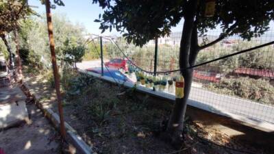 Hatay’ın Samandağ ilçesinde bir lise, Akdeniz meyve sineğine karşı ilaçsız