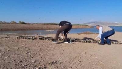 Tarım ve Orman Bakanlığı, Hatay’da yurtdışına çıkarılmak üzere hazırlanmış halde