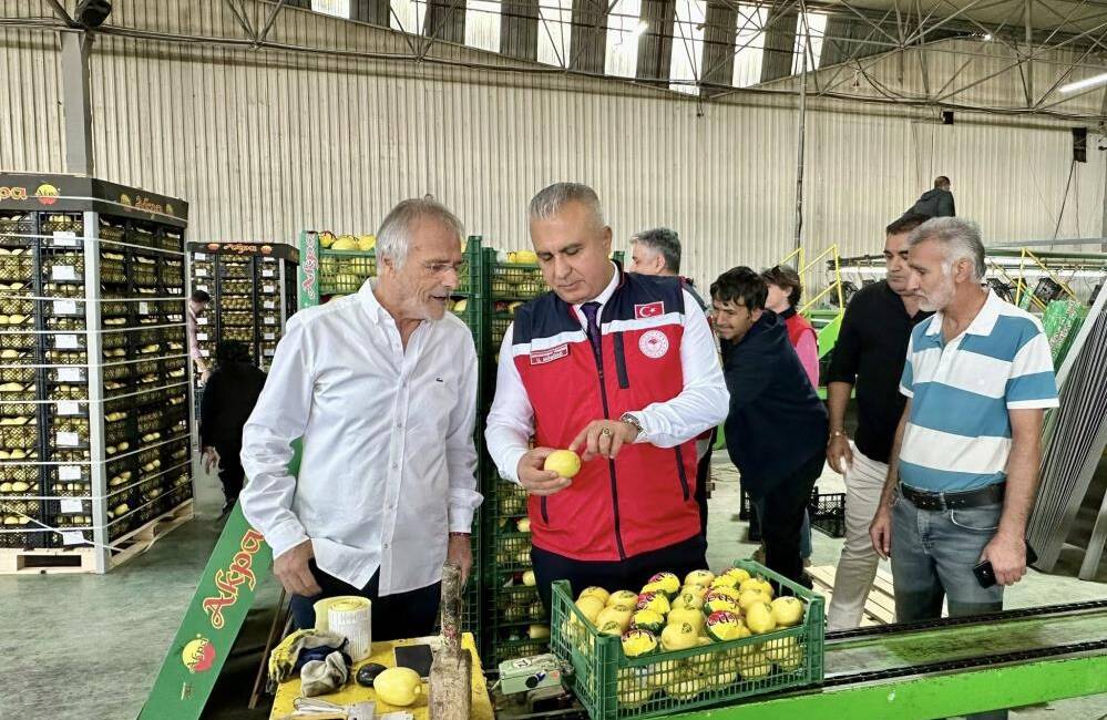 Hatay, Türkiye’nin önemli tarım merkezlerinden biri olarak narenciye üretiminde öne