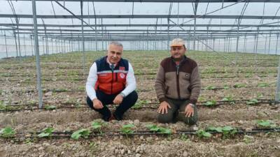 Hatay İl Tarım ve Orman Müdürlüğü, Tarım Arazilerinin Kullanımının Etkinleştirilmesi
