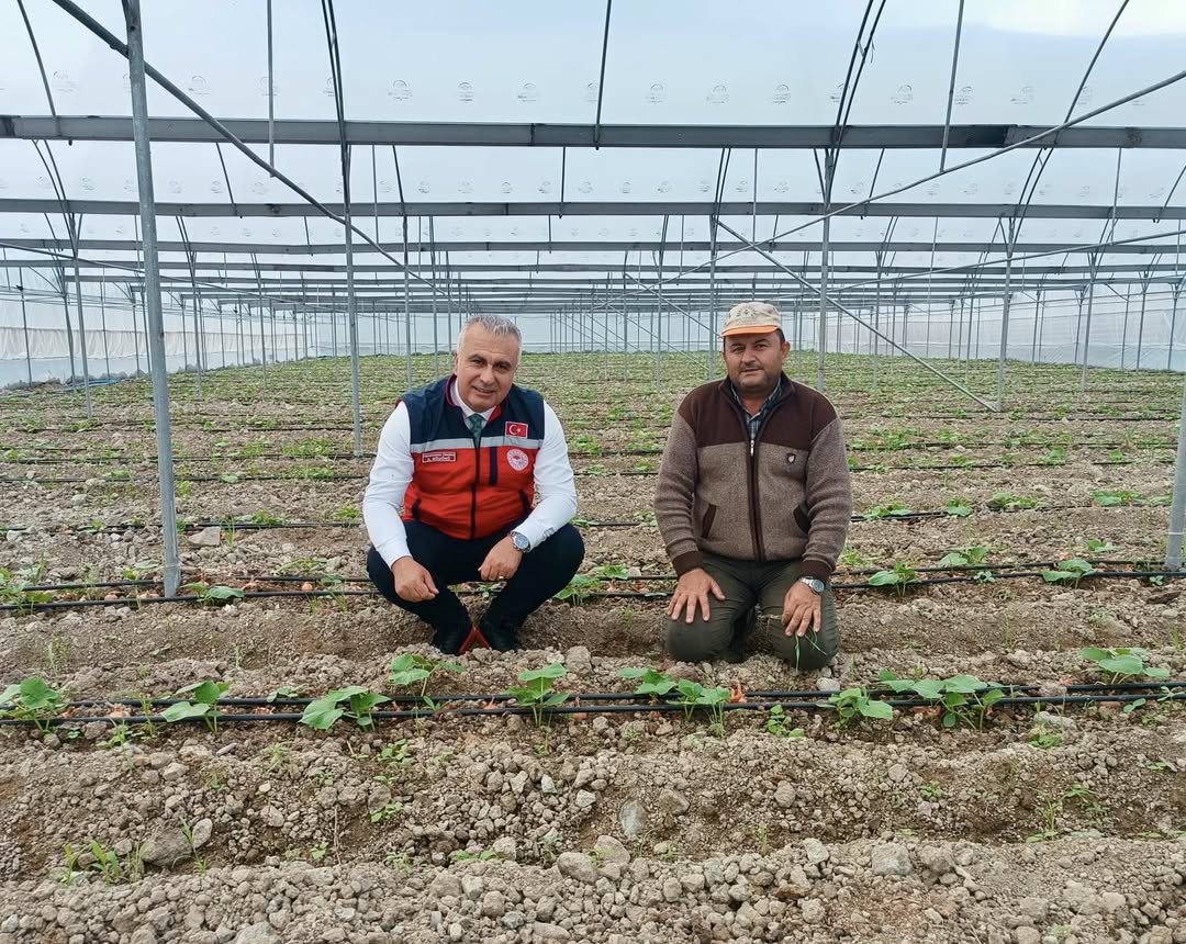 Hatay İl Tarım ve Orman Müdürlüğü, Tarım Arazilerinin Kullanımının Etkinleştirilmesi