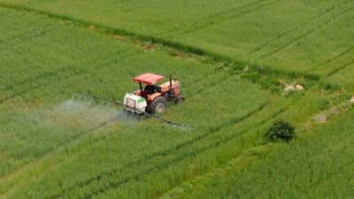 Tarım ve Orman Bakanı İbrahim Yumaklı, zirai dondan etkilenen, tarım