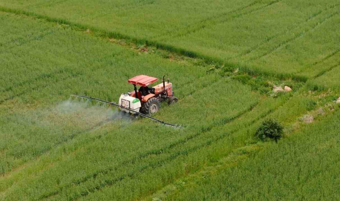 Tarım ve Orman Bakanı İbrahim Yumaklı, zirai dondan etkilenen, tarım