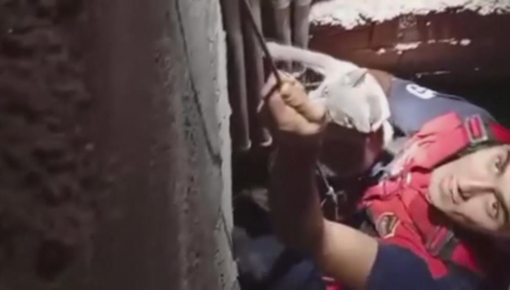 Hatay’ın Arsuz ilçesinde bir kedi, 3 katlı bir binanın havalandırma