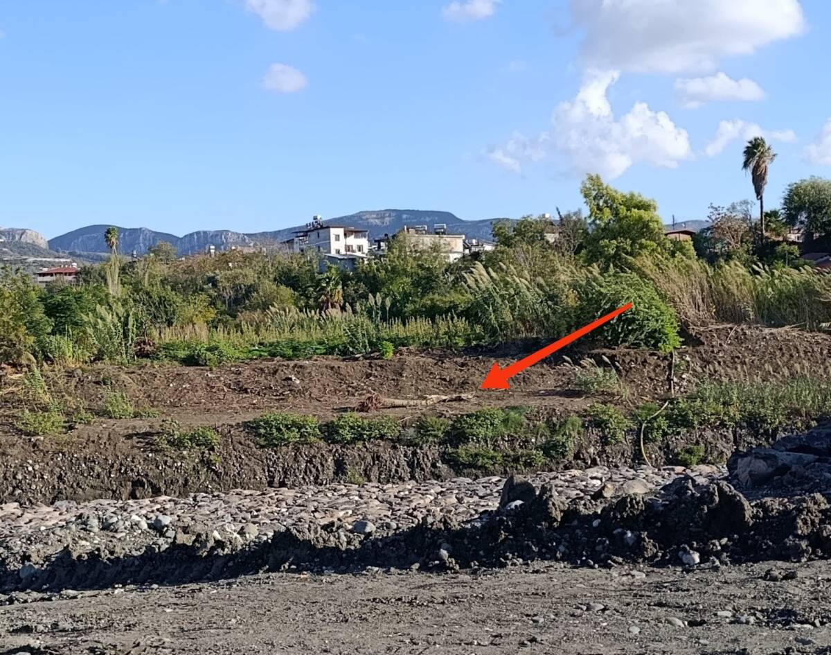 DSİ’nin Asi Nehri Antakya içerisindeki ıslah ve taşkından korunma projesi