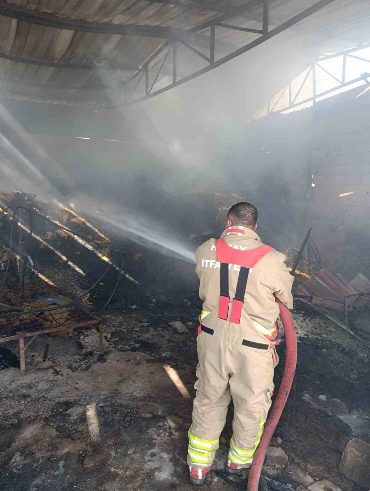 Hatay’ın Reyhanlı ilçesinde bir samanlıkta çıkan yangın, itfaiye ekiplerinin hızlı