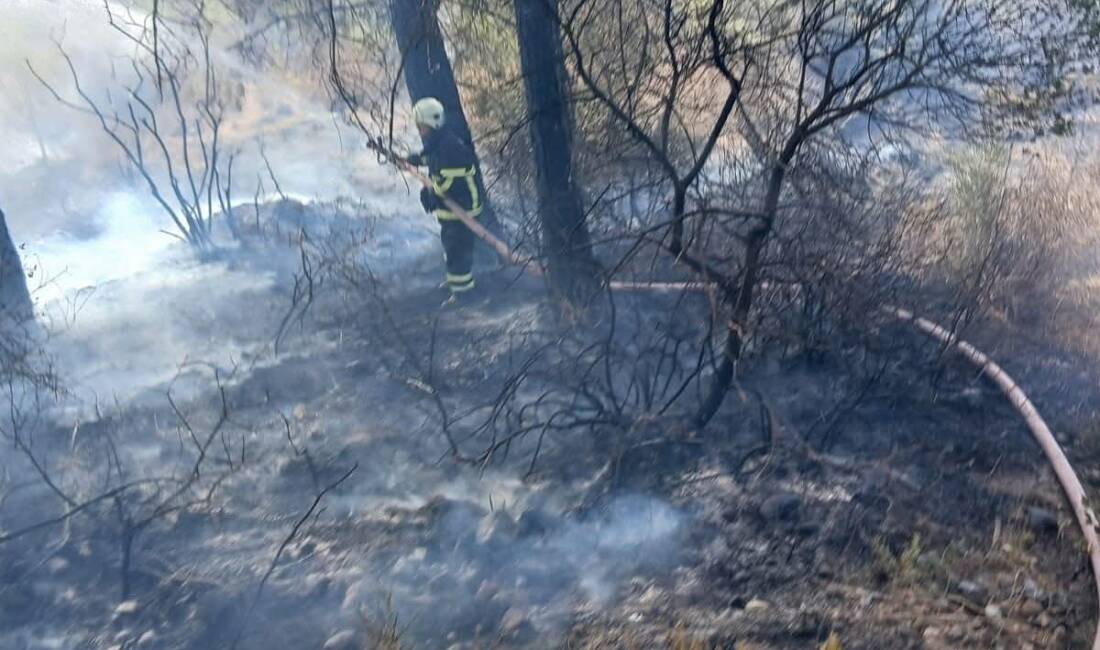 Orman Yangını Tehlikesi Erzin’de Büyümeden Önledi Hatay’ın Erzin ilçesinde Gökdere mevkisinde ormanlık alanda çıkan yangın, ekiplerin