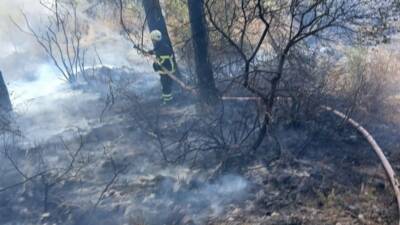 Hatay’ın Erzin ilçesinde Gökdere mevkisinde ormanlık alanda çıkan yangın, ekiplerin