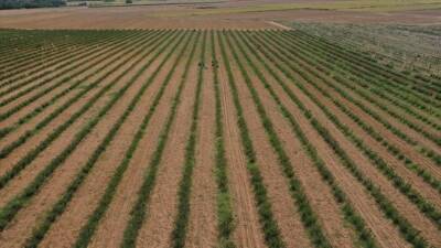 Türkiye İstatistik Kurumu (TÜİK) ile Tarım ve Orman Bakanlığı işbirliğinde