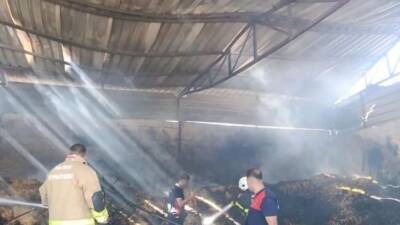 Hatay’ın Reyhanlı ilçesinde otluk alanda çıkıp samanlığa sıçrayan yangında, depremzede