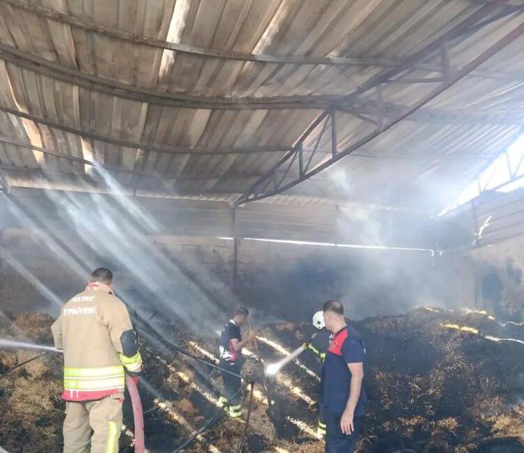 Hatay’ın Reyhanlı ilçesinde otluk alanda çıkıp samanlığa sıçrayan yangında, depremzede
