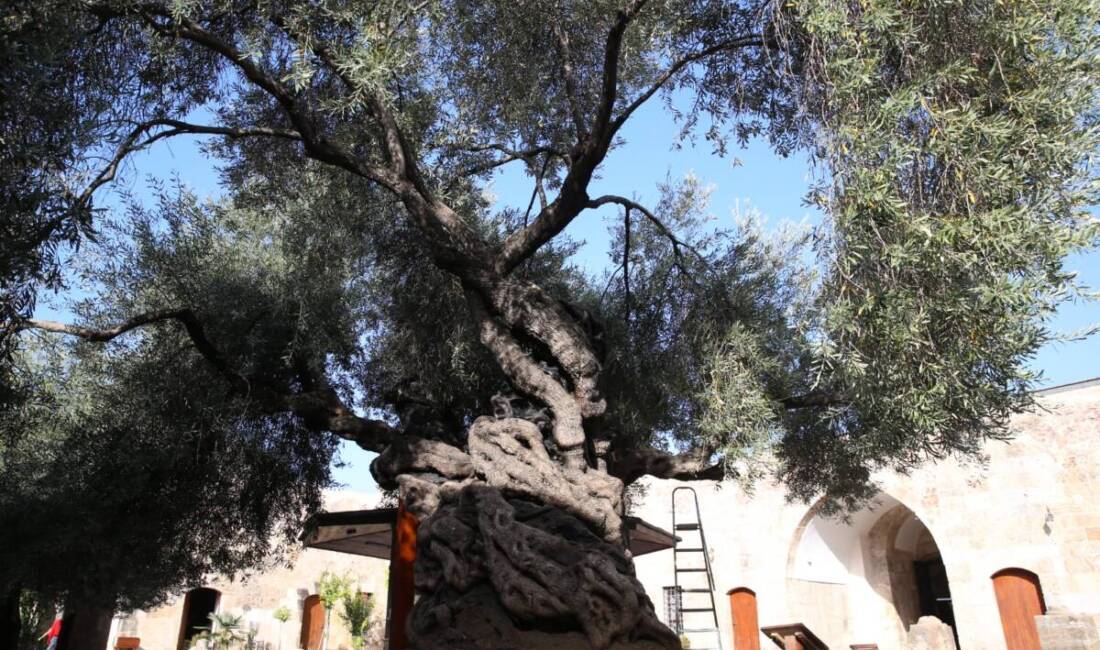 Hatay’ın Payas ilçesinde, Mimar Sinan’ın eseri Sokullu Mehmet Paşa Külliyesi’nin