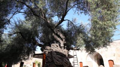 Hatay’ın Payas ilçesinde, Mimar Sinan’ın eseri Sokullu Mehmet Paşa Külliyesi’nin