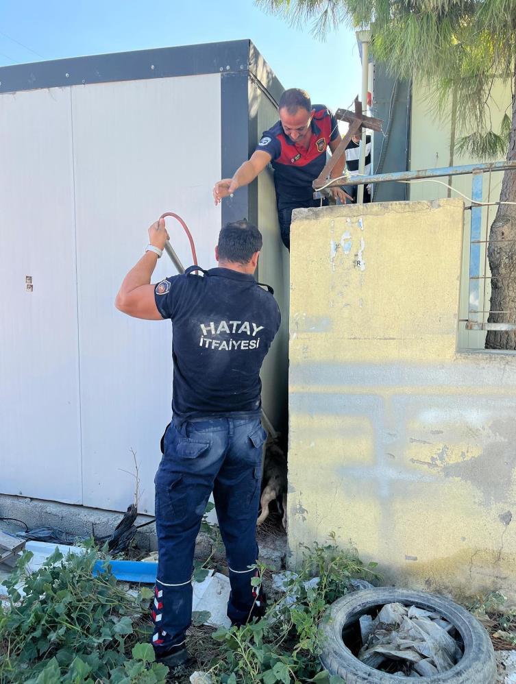 Hatay’ın Arsuz ilçesinde konteyner ile duvar arasına sıkışan yavru köpek,