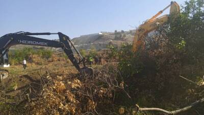 Hatay’ın Samandağ ilçesinde yer alan Kurtderesi bölgesinde, uzun süredir süren