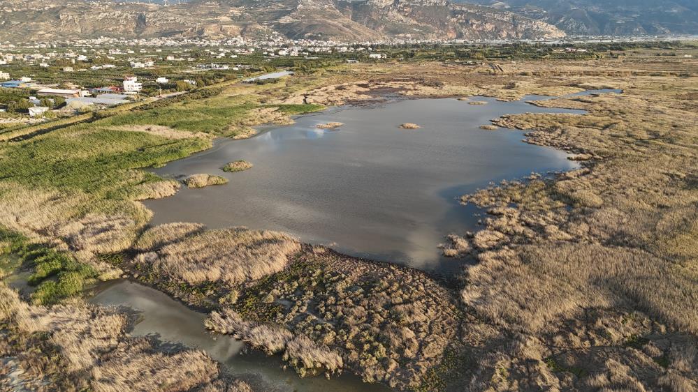 Kuraklığın vurduğu Milleyha’ya yağmur can suyu oldu Hatay’da son 65 yılın en kurak döneminin yaşanmasıyla neredeyse tamamen
