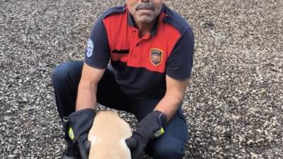 Hatay’ın Dörtyol ilçesinde, Numune Evler Mahallesi’nde bulunan 1 Nolu Sağlık