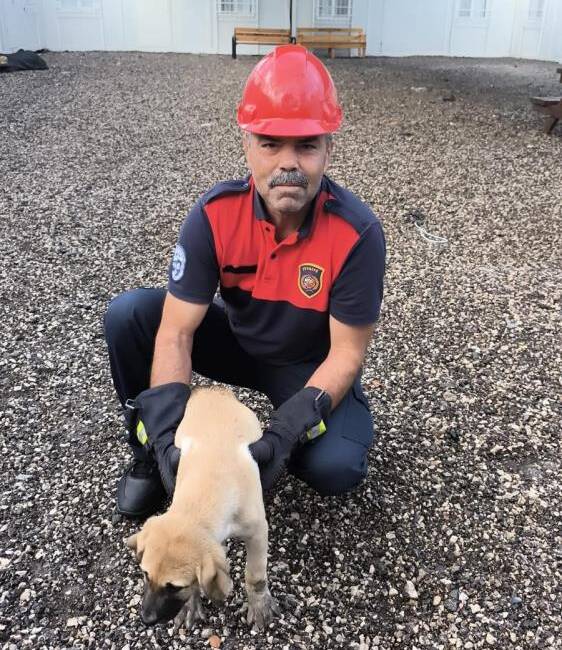 Dörtyol’da minik köpek kapıda mahsur kaldı Hatay’ın Dörtyol ilçesinde, Numune Evler Mahallesi’nde bulunan 1 Nolu Sağlık