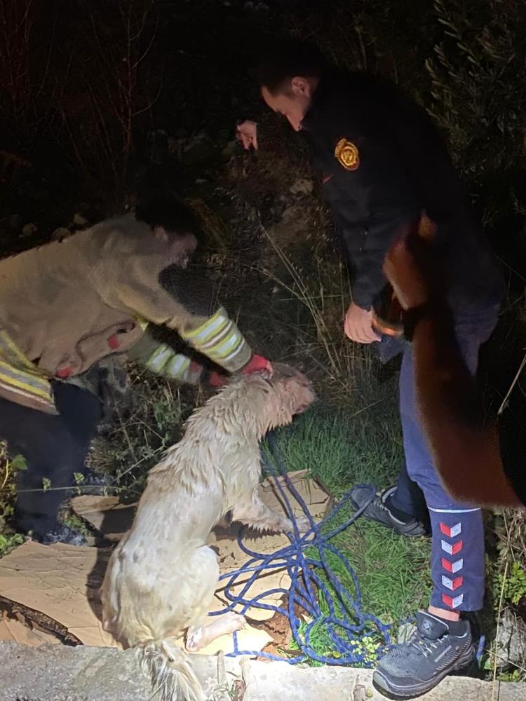 Antakya’nın Narlıca Mahallesi’nde su dolu bir kuyuda mahsur kalan 2