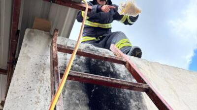 Hatay’da artan hava sıcaklıklarıyla birlikte yılanlar sık sık görülmeye devam