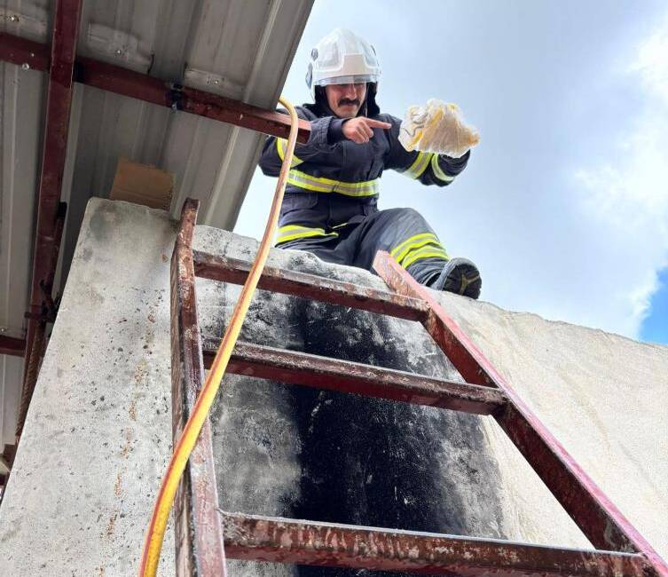 Hatay’da artan hava sıcaklıklarıyla birlikte yılanlar sık sık görülmeye devam