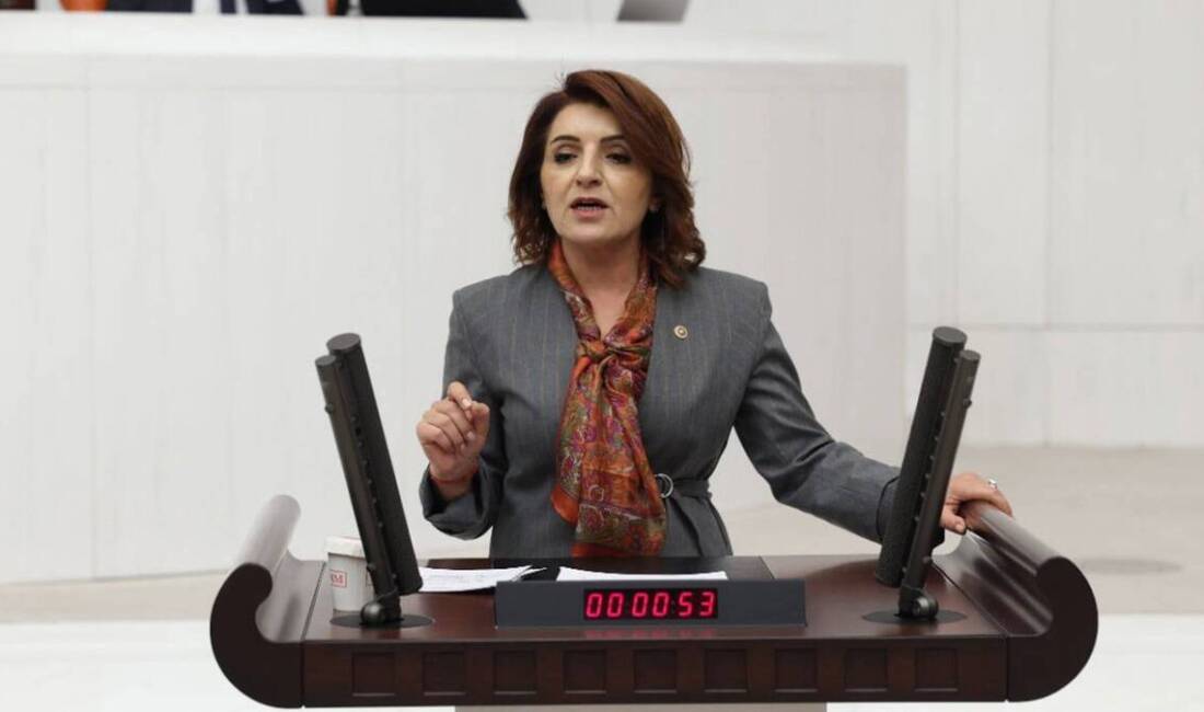 Kış: ‘Vatandaş ev kirasını ödemek için borç çekiyor’ CHP Mersin Milletvekili Gülcan Kış, Hazine’nin borçlanma politikalarını hedef alarak