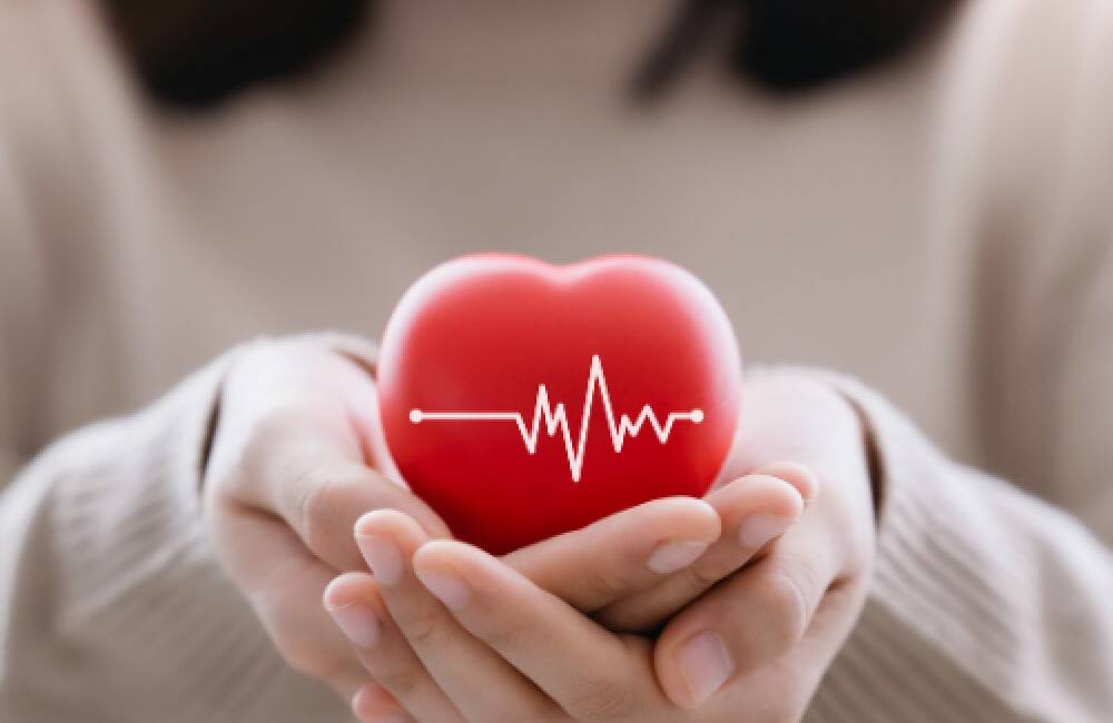 Defne’de kadın sağlığı eğitimi düzenlenecek Bağımsız Defne Yaşam Derneği, Hatay Tabip Odası iş birliğiyle kadınlara