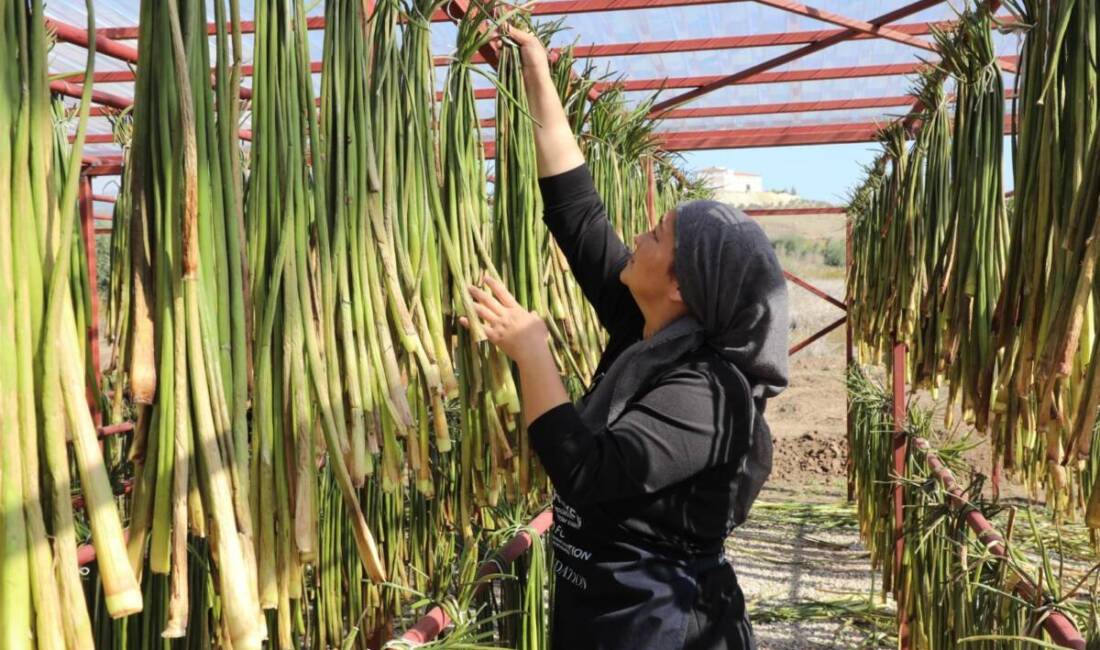 Hatay Büyükşehir Belediyesi (HBB) ile Türkiye Sürdürülebilir İnsani Yardım ve