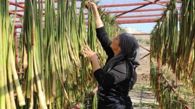 Hatay Büyükşehir Belediyesi (HBB) ile Türkiye Sürdürülebilir İnsani Yardım ve