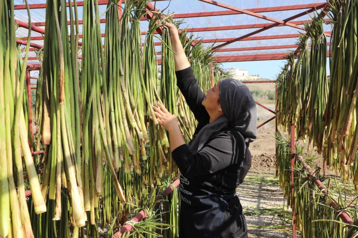 Hatay Büyükşehir Belediyesi (HBB) ile Türkiye Sürdürülebilir İnsani Yardım ve