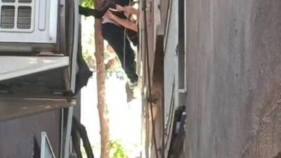 Hatay’ın İskenderun ilçesinde dengesini kaybederek düşen bir kişi, ağaçta asılı