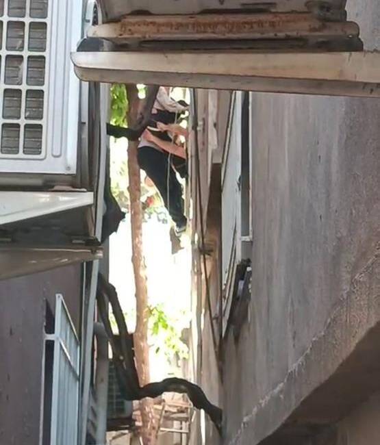 Hatay’ın İskenderun ilçesinde dengesini kaybederek düşen bir kişi, ağaçta asılı