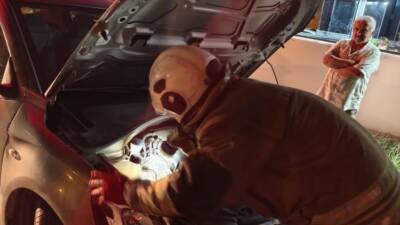 Hatay’ın Arsuz ilçesinde soğuk havadan korunmak isteyen bir yavru kedi,