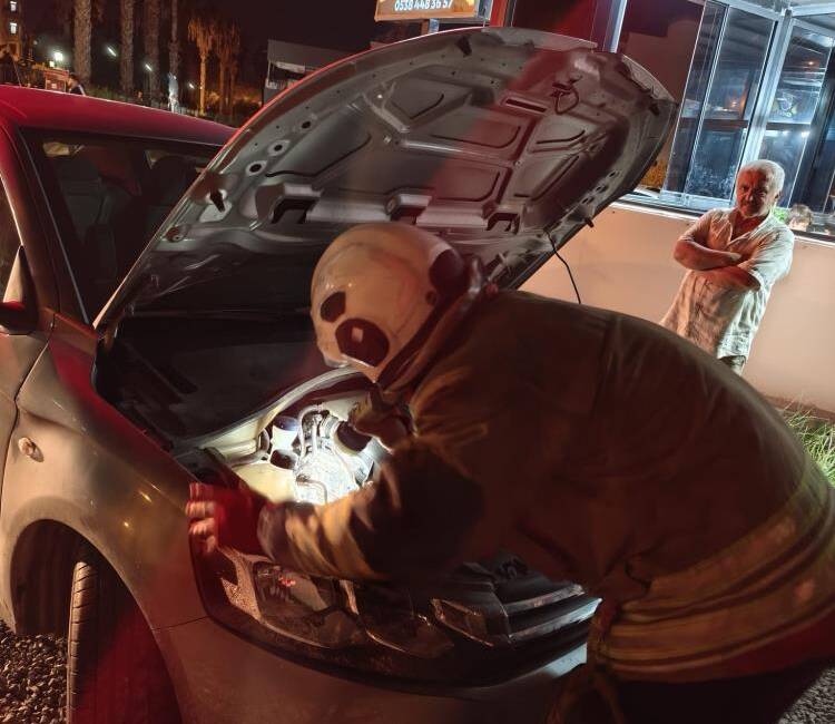 Hatay’ın Arsuz ilçesinde soğuk havadan korunmak isteyen bir yavru kedi,