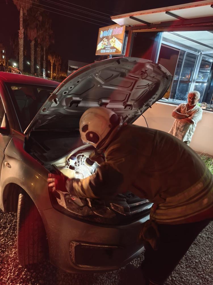 Hatay’ın Arsuz ilçesinde soğuk havadan korunmak isteyen bir yavru kedi,