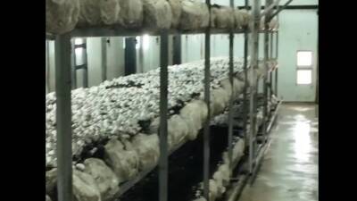 Yayladağı’nda iş insanı İbrahim Dölek, ilçeye 1,5 milyar TL’lik dev