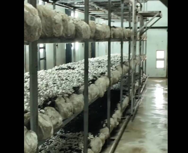 Yayladağı’nda iş insanı İbrahim Dölek, ilçeye 1,5 milyar TL’lik dev