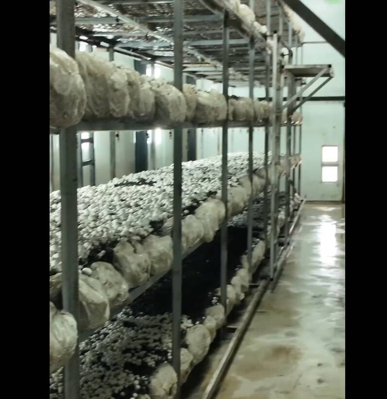 Yayladağı’nda iş insanı İbrahim Dölek, ilçeye 1,5 milyar TL’lik dev