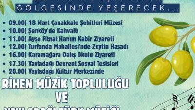 Yayladağı’nda zeytin hasadı, müzik ve kültürel etkinliklerle festival havasında kutlanacak.