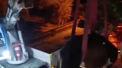 Hatay’ın Hassa ilçesine bağlı Girne Mahallesi’nde ilginç bir kurtarma operasyonu