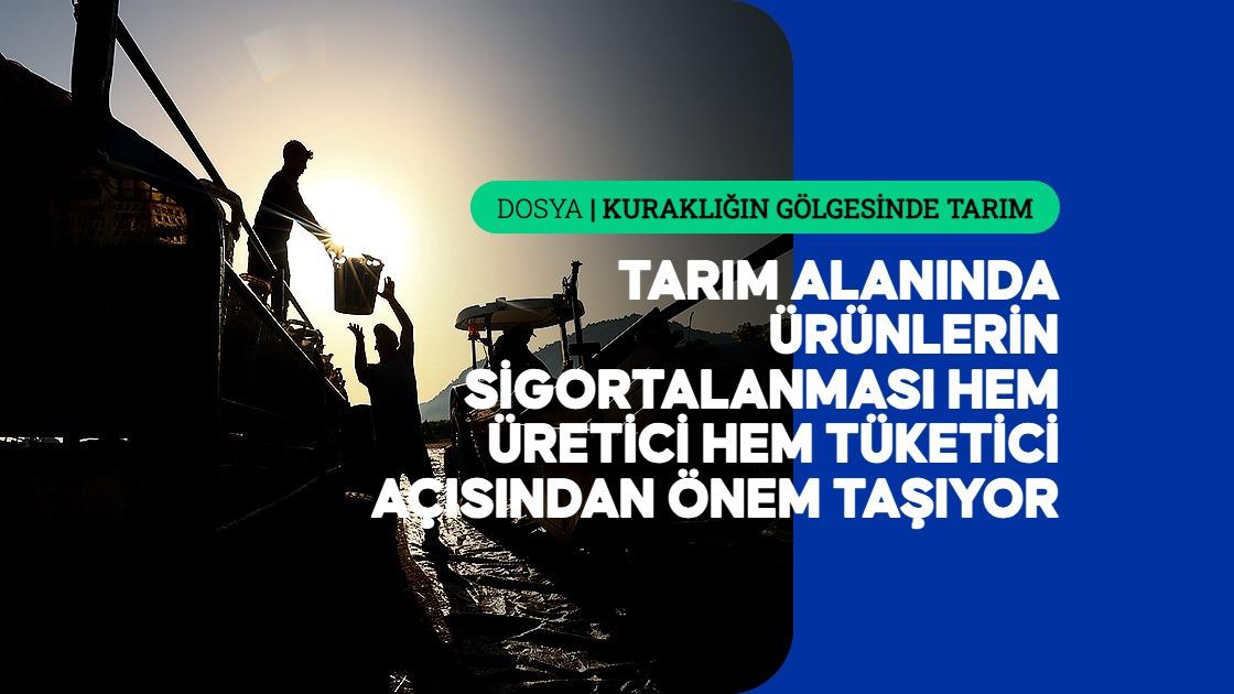 Tarım Sigortaları Havuz İşletmesi (TARSİM) tarafından yürütülen köy bazlı verim